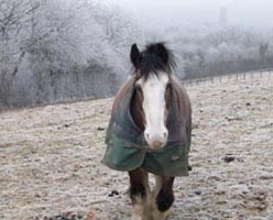 North Farm in Winter