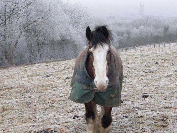 North Farm in Winter