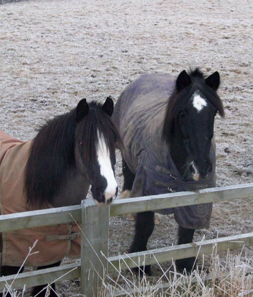 North Farm in Winter